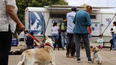 Nuevo cronograma del Quirófano Veterinario Móvil