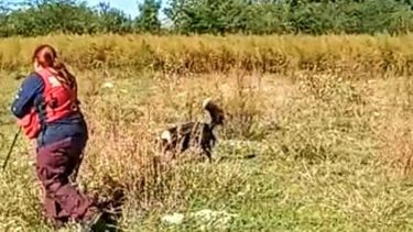 RASTRILLAJE. Se extendió por varias horas e incluyó perros. .