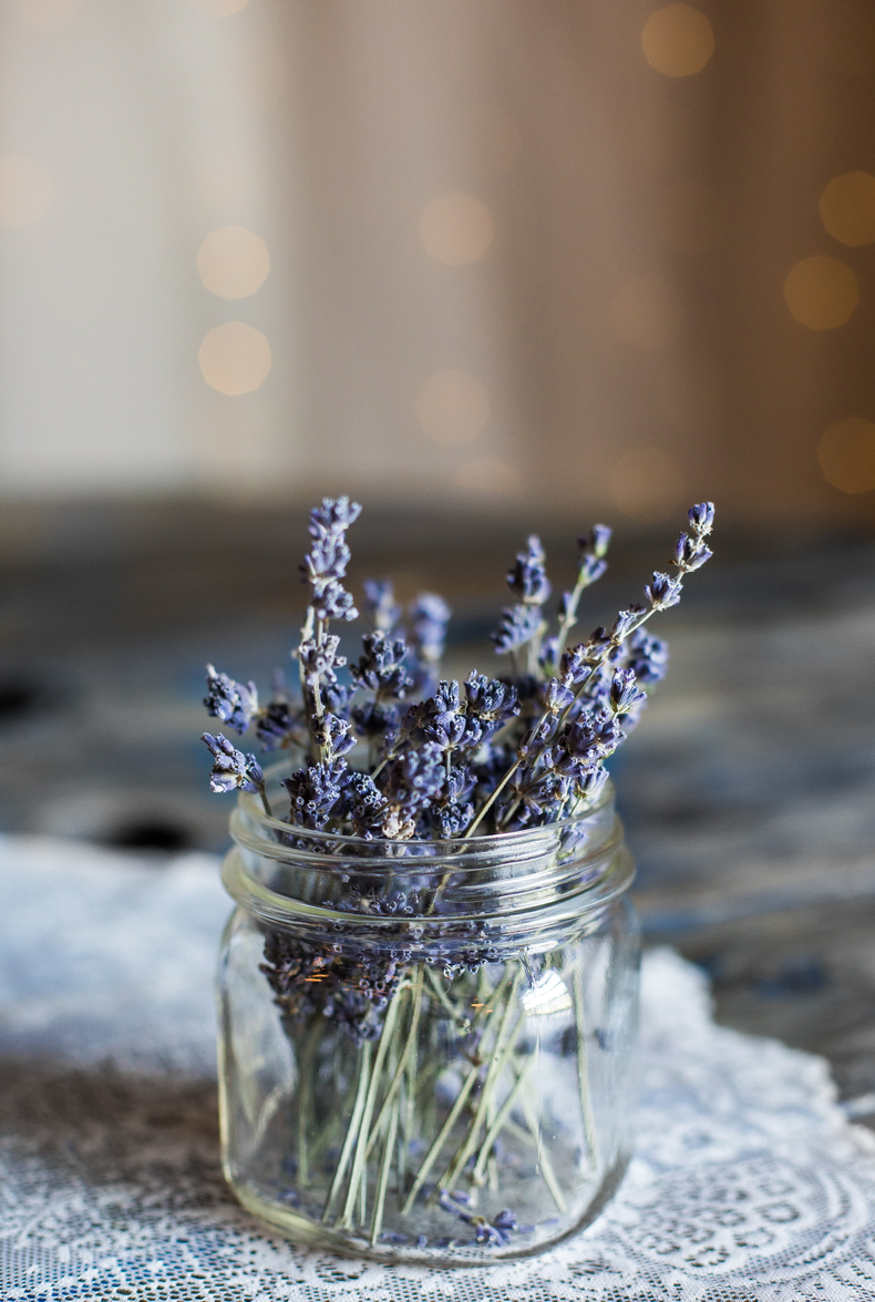 Lavanda. (Unsplash)..png