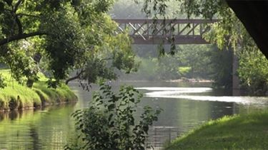 dia internacional de accion por los rios