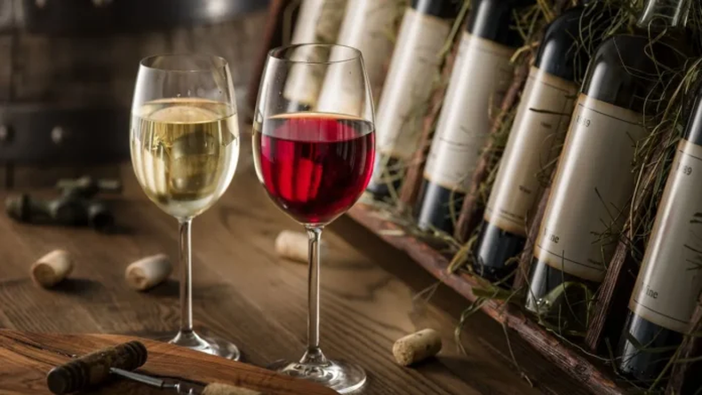 Vinos Buenos Aires, la guía para para disfrutar del enoturismo en marzo. (Anticipos).