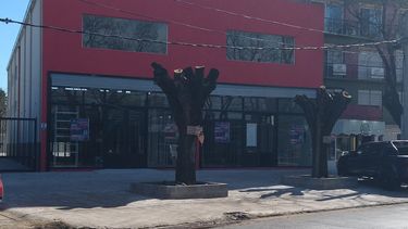 preocupacion por los arboles de la avenida tomas marquez