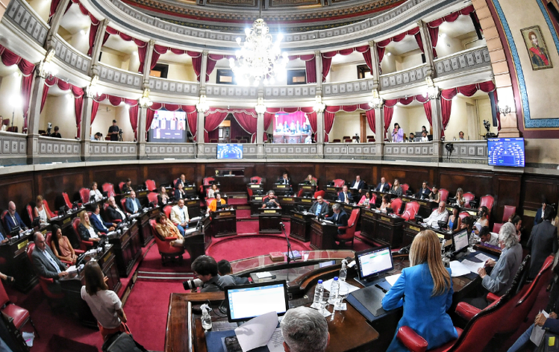 EN DUDA. El proyecto fue aprobado por el Senado pero son bajas las chances de que se convierta en ley.&nbsp;