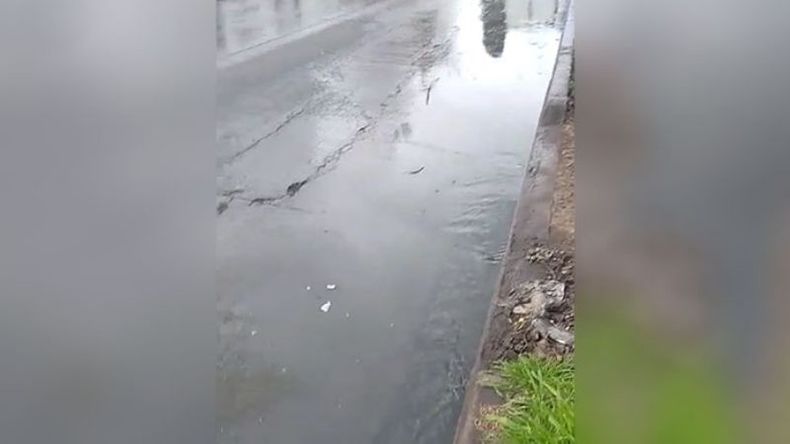 NAUSEABUNDO. Las aguas servidas corren por la calle Guido..