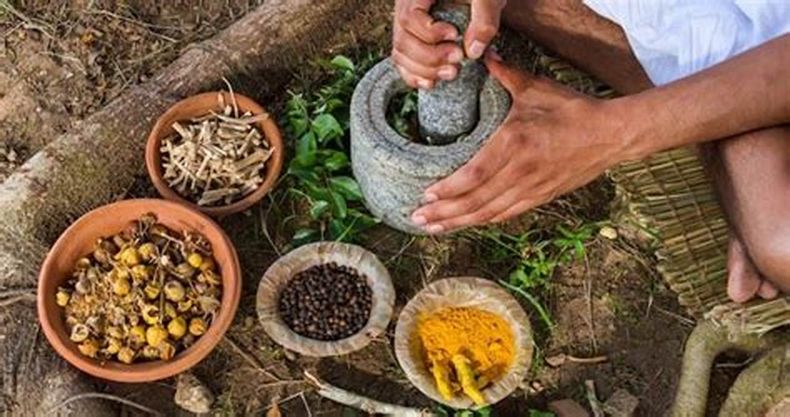 Los conocimientos tradicionales, indígenas y ancestrales siguen siendo un recurso fundamental para la salud. (redxsalud.com).jpg