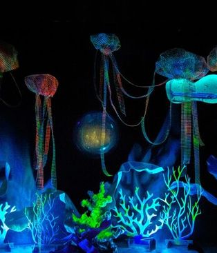 Llego a Escobar la muestra itinerante Vidas submarinas: ciencia, arte y soberanía