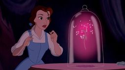 La historia de la rosa encantada de “La Bella y la Bestia”