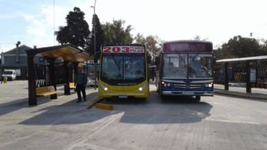 el transporte publico sera gratuito en las paso