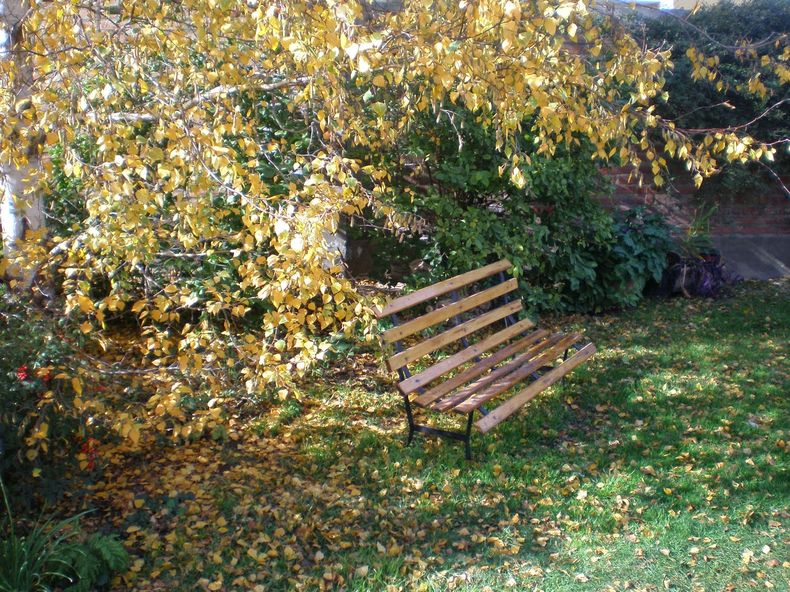 Tareas para el cuidado del jardín en Invierno. Foto. Blogspot..jpg