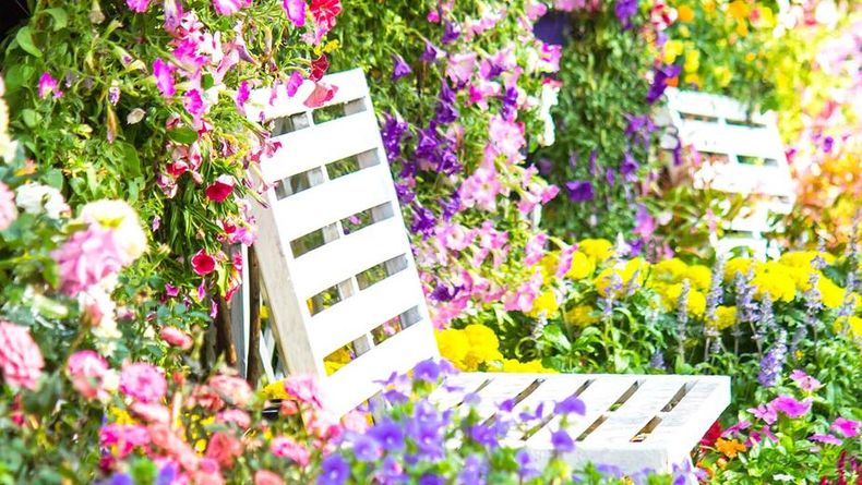 El jardín para la primavera se vive como un renacer. (La Voz).