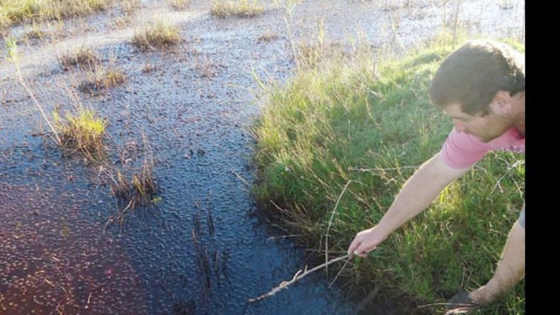 Palito. Un vecino muestra los restos de petróleo en una zanja de las inmediaciones de la planta..