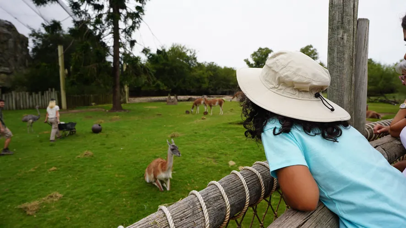 Todas las actividades para recibir la primavera. (Bioparque Temaikèn)..png