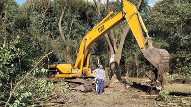 Pilar a Diario | MONTE. La tala de árboles generó el alerta que permitió descubrir la cesión de la tierra..