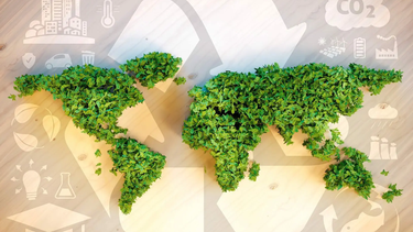 dia mundial del reciclaje: ¿por que se hoy?
