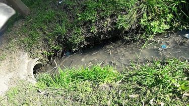 Soy vecina del barrio Golfer’s, le escribo esta nota debido a unas irregularidades que se están sucediendo en mi barrio, debido a una clínica (Linde-Remeo), la cual está derramando en la vía pública desechos, una especie de agua sucia que desconozco su origen pero tiene un olor fétido, más tratando de un centro médico que tendría que manejar de otra forma sus desechos. Espero tener alguna respuesta sobre el tema. Muchas gracias. Cristina..