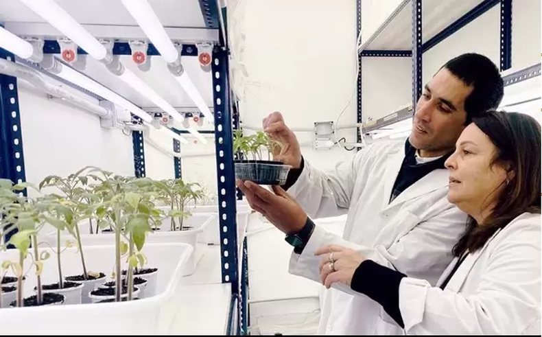Gabriela Guevara y Fernando Muñoz en los laboratorios del IIB. (CONICET).