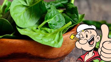 dia mundial de la espinaca: sus beneficios y el mito de popeye