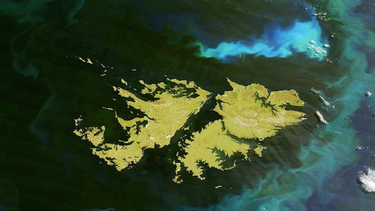 la justicia exige a una empresa de cruceros reconocer a las islas malvinas como argentinas