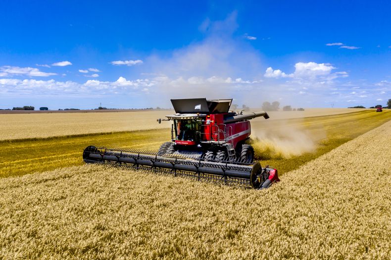 COSECHADORAS. Massey Ferguson mostrará toda su línea en Expoagro 2025.