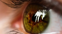¡Hoy es el Día Mundial del Glaucoma!