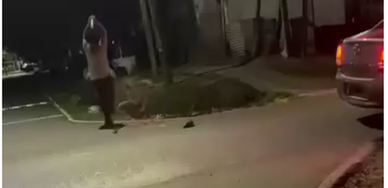 El brutal ataque ocurrió en plena vereda, en el barrio William Morris de Del Viso.&nbsp;