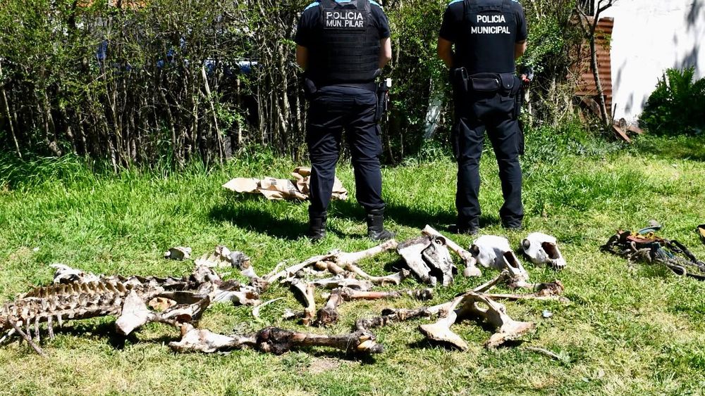 RESTOS ÓSEOS. Fueron hallados en uno de los allanamientos.