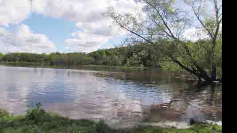 f800x450 16768_68214_5050.jpg