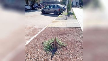 Foto de lectores