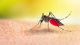El Ministerio de Salud puso en marcha el Plan Estratégico de Prevención y Control del Dengue impulsado por el Gobierno y empezó a distribuir las vacunas. &nbsp;