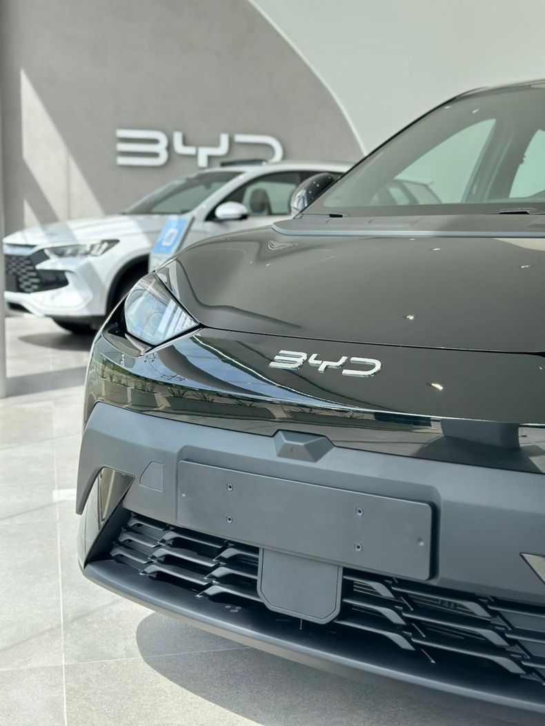 BYD (2)