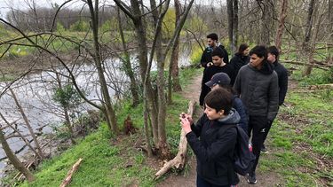 ensenanza en el bosque
