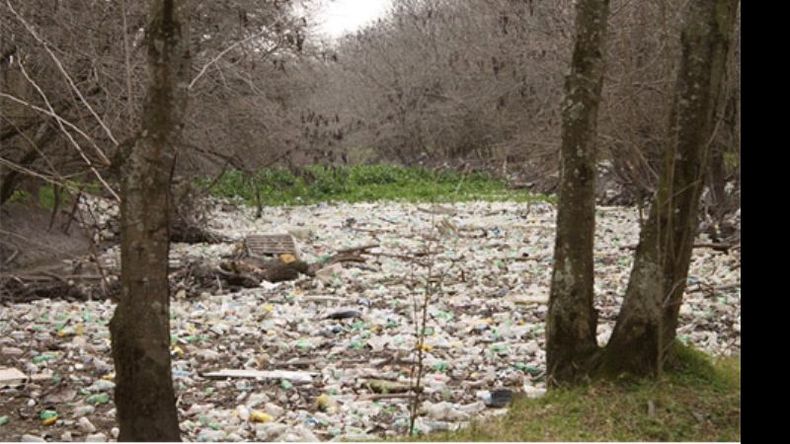Así están hoy algunos sectores del río Luján, en Pilar..