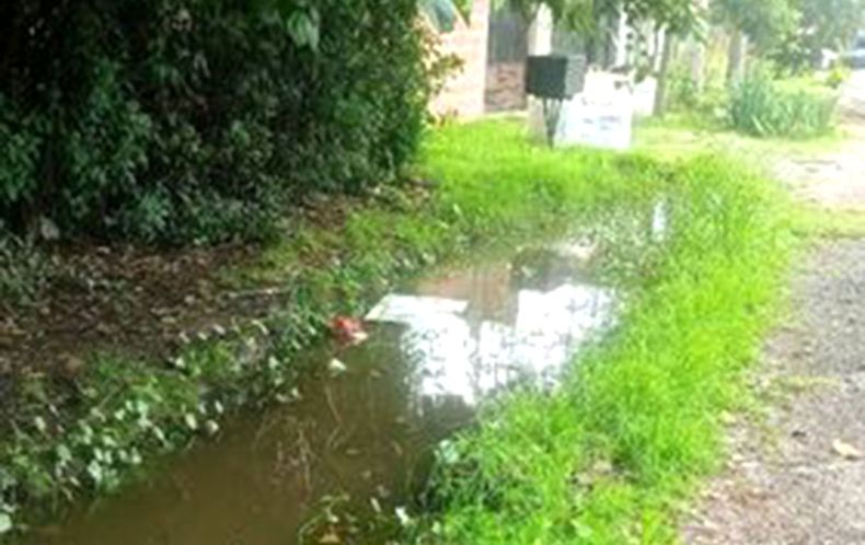 Vivo en Las Glicinas 908 y la vecina del 964, levantó su caño y no baja el agua. Estoy desde el 2021 con expedientes y nadie viene a resolver el problema. El jefe Carabajal no da la orden. Barrio Los Cachorros. Marcela Quinteros.