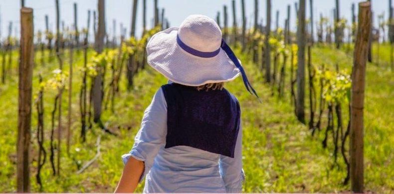 Descubrir las bodegas bonaerenses. (Revista Huespedes)..jpg