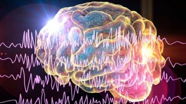 hallazgo de cientificos de la universidad austral en el estudio de la epilepsia