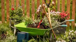 Las tareas básicas para preparar bien el jardín en primavera
