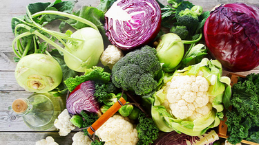 huerta de invierno: ¿que sembrar en junio para cosechar colores y sabores unicos?