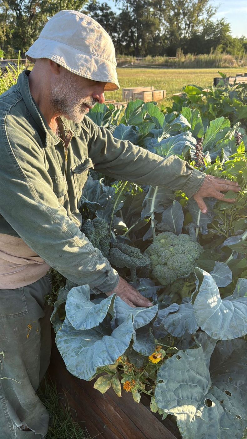 Mi huerta ya funciona en el predio Posta del Sol en Manzanares.&nbsp;