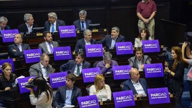 PARIDAD. Diputados sostienen car-teles en apoyo a la nueva legislación ..