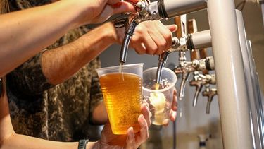 fin de semana con fiestas de navidad, gastronomia y cerveza