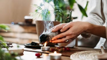 8 hierbas esenciales que no te pueden faltar para limpiar tu hogar de energias negativas