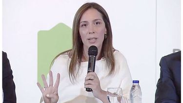 ACHIQUE. Vidal decidió desarticular el organismo..