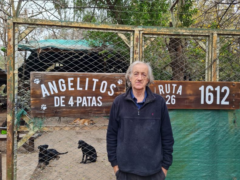 AMORES PERROS. Alfredo tiene refugios desde hace 60 años.