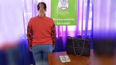 DETENIDA. La mujer tiene 38 años y vive en Del Viso. .