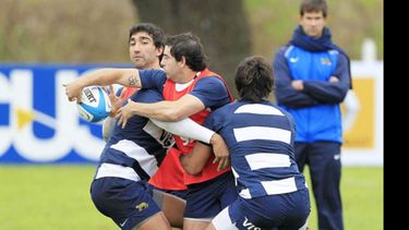 Práctica de Los Pumas, hoy en Pilar. Foto: ProFocus-UAR.