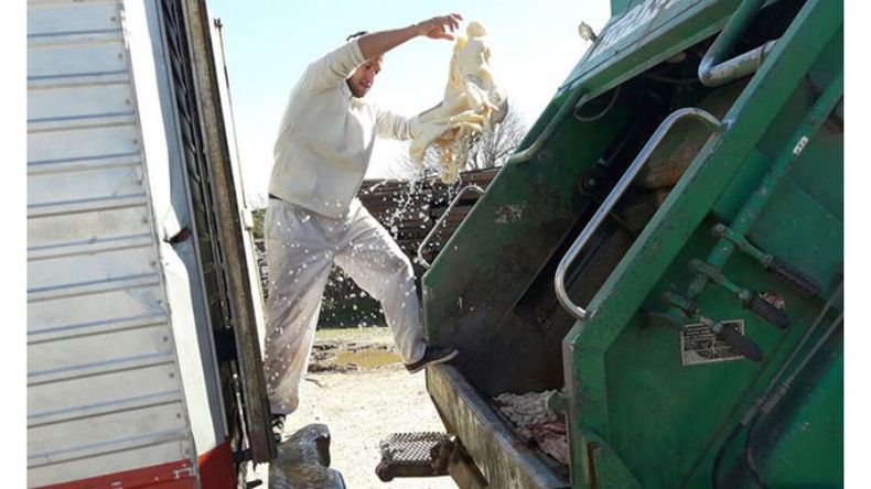 MONDONGO. Las achuras en mal estado, del transporte a la basura..