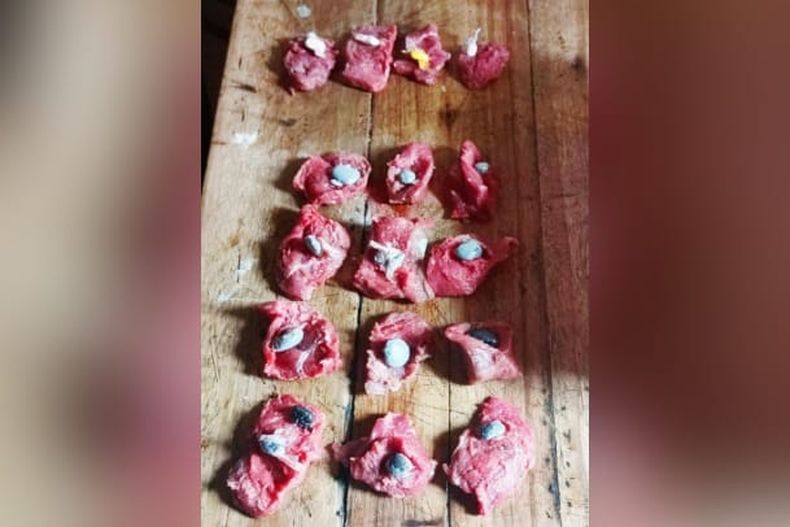 La droga fue escondida por la mujer en churrascos de cerdo.&nbsp;