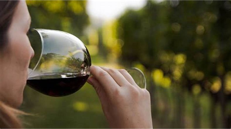 El consumo moderado de vino aporta beneficios a nuestra salud. (El Confidencial)..jpg
