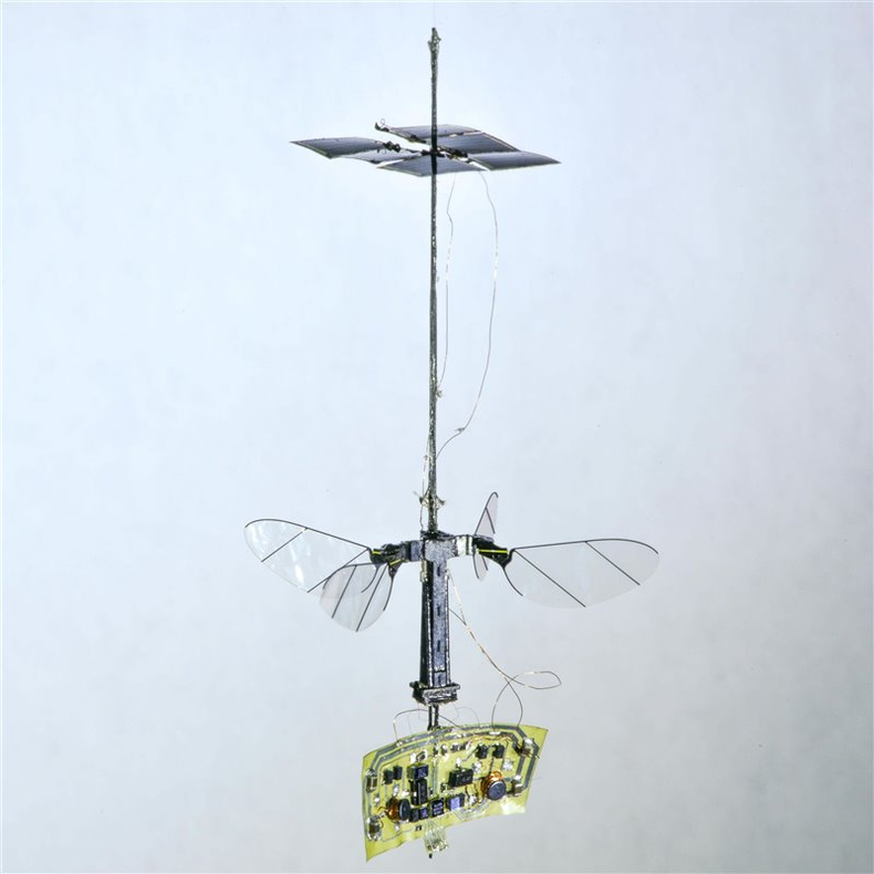 Así es RoboBee, el increíble robot insecto. (Universidad de Harvard)..png
