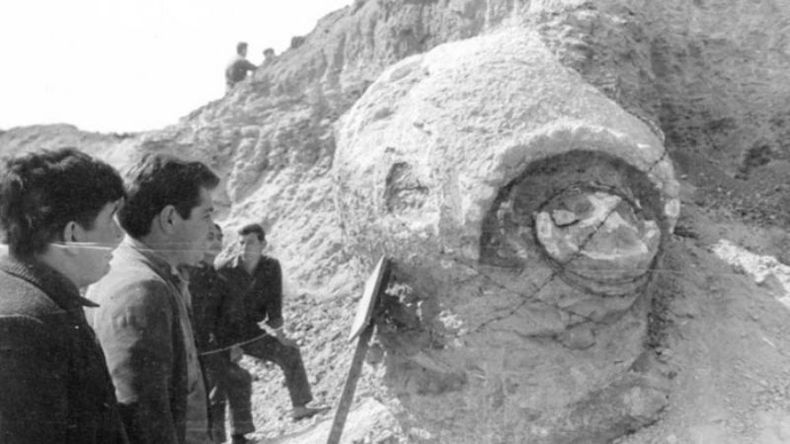 El gliptodonte encotrado en Carabassa en 1966..